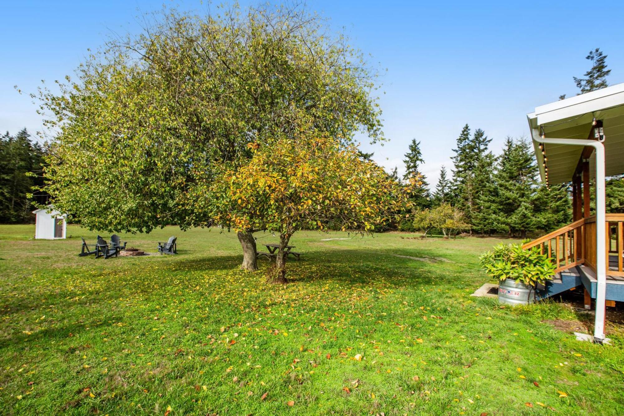 Historic Officer'S Farmhouse At Olf Coupeville Bagian luar foto